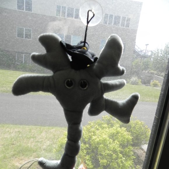 Graduation Brain Cell - Picture 3 of 4